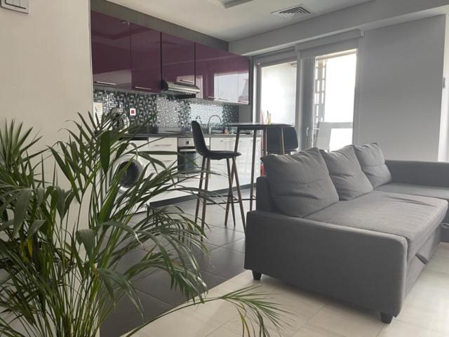 Cayan Tower Luxury Apartment With Sea View Dubai Eksteriør billede